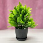 Mini Artificial Plants(17 cm height) +₹100.00